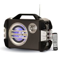 Acoustic Audio by Goldwood BB65GS Rechargeable Battery Powered Portable Bluetooth Speaker with LED Display