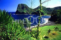 Hi-Look Microfiber Cleaning Cloth - Maui Backroad, Hawaii