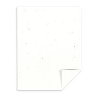 Astrobrights Colored Cardstock, 8.5" x 11", 65 lb/176 gsm, Stardust White (Multi-Color Flecked), 250 Sheets (22401)