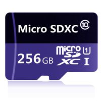 GYUOI 256GB Micro SD SDXC Memory Card High Speed Class 10 256gb with Micro SD Adapter