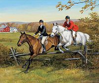 Horses 240 37b 1 Artwork Micro Fiber Cleaning Cloth