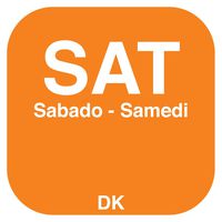 DayMark Day Of Week 3/4" x 3/4" Permanent Label, Saturday (2,000 Labels)