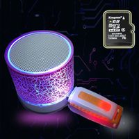 Portable Bluetooth Mini Speaker With FM Radio USB SD Card Reader Altavoces Bocinas