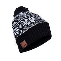 BestFire Beanie Hat Warm Knit Winter Hat Cap with Wireless Headphone Earphone Headset Speaker Mic, Hands Free for Women Outdoor Sports Skiing Snowboard Skating Hiking