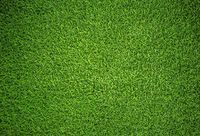 Baocicco Green Grassland Backdrop Football Soccer Playground Kindergarten School 7x5ft Photography Background Greensward Sports Field Rural Countryside Garden Park Childcare Kindergarten Baby Shower