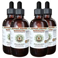 Echinacea Alcohol-Free Liquid Extract, Echinacea (Echinacea Purpurea) Dried Root Glycerite Hawaii Pharm Natural Herbal Supplement 4x4 oz