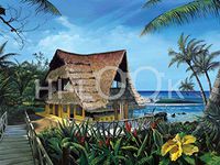 Hi-Look Microfiber Cleaning Cloth - Hawiian Hideaway