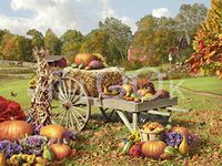 Hi-Look Microfiber Cleaning Cloth - Autumn Treasures