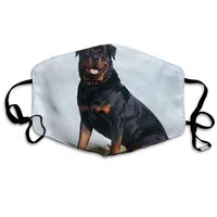 Hateone Unisex Unique Mouth Mask - Cute Frendly Pet Dog Polyester Anti-dust Masks - Fashion Washed Reusable Face Mask for Outdoor Cycling