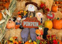 Leowefowa 7X5FT Vinyl Photography Backdrop Halloween Pumpkin Cloth Dolls Straw Flowers Nature Autumn Harvest Background Kids Children Adults Photo Studio Props