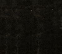 Vinyl Fabric Spandex Upholstery 56" Wide Sold by The Yard (Black)