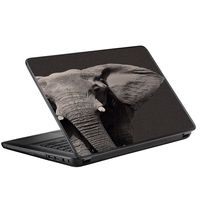 Protective Vinyl Skin Decal for HP 2000 Laptop (2013-14) 15.6" 15" cover sticker skins decals / Close up of the elephant