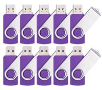 Yonger 10 X USB 2.0 Flash Pen Drive USB 2.0 Swivel Flash Drive Memory Stick (16G, Purple)