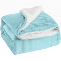 Bedsure Fleece Blanket Sherpa Throw size 50x60 Bed Blanket Tiffany Blue