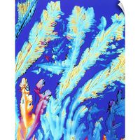 CANVAS ON DEMAND PLM of Crystals of Magnesium Citrate Drug Wall Decal, 36"x45"