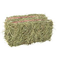 Grandpa's Best Timothy Hay Bale, 10 Lbs