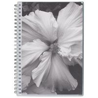 Mead Academic Weekly / Monthly Planner, July 2017 - June 2018, 5-1/2" x 8-1/2", Customizable, Snap Shot, Design Will Vary (CAW41210)