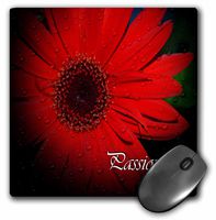 3dRose LLC 8 X 8 X 0.25 Inches Passion Red Gerbera Daisy Mouse Pad (mp_22504_1)