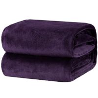 Bedsure Fleece Blanket Twin Size Purple Lightweight Blanket Super Soft Cozy Microfiber Blanket