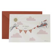 Hallmark Funny Valentine's Day Card (Peanuts Snoopy Airplane)