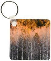 3dRose Birch trees, Beaver Pond Overlook, Minnesota - US24 RKL0093 - Raymond Klass - Key Chains, 2.25 x 4.5 inches, set of 2 (kc_91460_1)