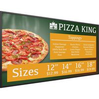 Planar SL4351 Simplicity Series 43" Screen LCD Monitor