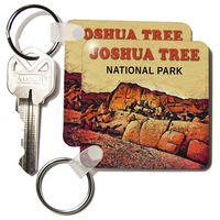 3dRose Joshua Tree National Park - Key Chains, 2.25 x 4.5 inches, set of 6 (kc_43250_3)