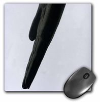 3dRose LLC 8 x 8 x 0.25 Inches Left Hand Mouse Pad (mp_4699_1)