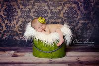 Faux Mongolian Fur Photography Prop, Newborn Prop, Basket Stuffer, Layering Blanket, Rug (Small, 18"x20", Ivory)