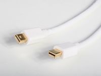 6FT Atlona Mini Display Port Male/Male C