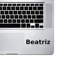 (2x) StickAny Palm Series Beatriz Sticker for Macbook Pro, Chromebook, and Laptops (Black)