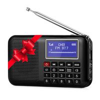 Raddy RF28 Portable FM Pocket Radio Speaker MP3 USB Music Player, Digital Tuning with Flashlight, Sleep Timer, Support TF Card (Black)