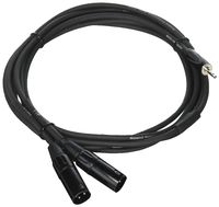 Roland 10 ft (3m) 3.5 mm tp 2x XLR M (RCC-10-352XM)