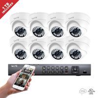 8 Channel LTS DVR + (8) * Platinum HD-TVI Turret Camera 2.1MP 2.8 mm 1080P HD Fixed lens IR Indoor/Outdoor Turret Camera + 1TB HDD Package