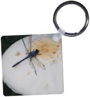 3dRose Blue dragonfly on mushroom - Key Chains, 2.25 x 4.5 inches, set of 2 (kc_19159_1)