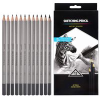 Professional Drawing Sketching Pencil Set - 12 Pieces Drawing Pencils 10B, 8B, 6B, 5B, 4B, 3B, 2B, B, HB, 2H, 4H, 6H Graphite Pencils for Beginners & Pro Artists
