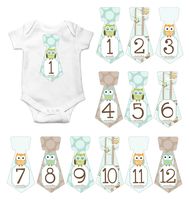 Gift Set of 12 Tie Keepsake Photography Monthly Baby Stickers with Owls in Mint Green T303