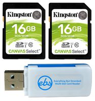 Kingston 16GB SD Memory Card (2 Pack Bundle) Canvas Select SDHC Card Class 10 UHS-1 (SDS/16GB) Plus (1) Everything But Stromboli (TM) SD & Micro Card Reader