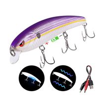 TRUSCEND Fishing Lures Fishing Light Attractant 4.9" Rechargeable LED Minnow Long Casting Slow Sinking Flashing Vibrating Jerking Twitching Lures Freshwater Saltwater Jerkbaits