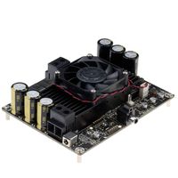 1 X 1000Watt Class D Audio Amplifier Board - T-AMP
