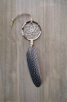 Native American Car Mirror Feather Dream Catcher Amulet Handmade