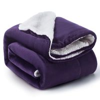 BEDSURE Sherpa Fleece Blanket Throw Size Purple Plush Throw Blanket Fuzzy Soft Blanket Microfiber