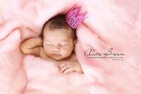 Newborn Fluff, Merino Wool Batting, Cloud, Basket Stuffer, Newborn Photo Prop (7 Ounce, Candy Pink)