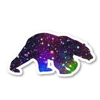 Polar Bear Sticker Bright Galaxy Stickers - 2 Pack - Laptop Stickers - 2.5" Vinyl Decal - Laptop, Phone, Tablet Vinyl Decal Sticker (2 Pack) S81885