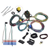 labwork 21 Circuit Wiring Harness Fit for Chevy Ford Hotrods Universal X-Long Wires