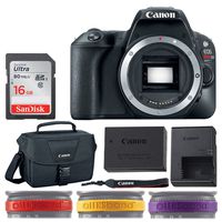Canon EOS Rebel SL2 Digital SLR Camera (Black, Body Only) + Canon 100ES Shoulder Bag + 16GB Memory Card + LENSBand Color Variety Red, Yellow & Purple - Ultimate Deluxe Canon Accessory Bundle