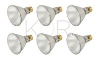 (Pack of 6)60PAR30L/FL 120V - 60 Watt High Output (75W Replacement) PAR30 Long Neck Flood - 120 Volt Eco Halogen Light Bulbs - Dimmable - Indoor/Outdoor Use