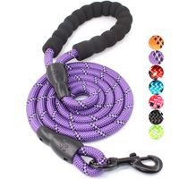 BAAPET 5 FT Strong Dog Leash with Comfortable Padded Handle and Highly Reflective Threads for Medium and Large Dogs (Purple)