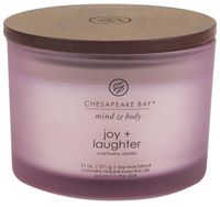 Chesapeake Bay Candle Scented Candle, Joy + Laughter (Cranberry Dahila), Coffee Table
