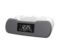 Sangean RCR-20 FM-RDS (RBDS) AM/Bluetooth/Aux-in/USB Phone Charging Digital Tuning Clock Radio with Battery Backup (Gray/White)